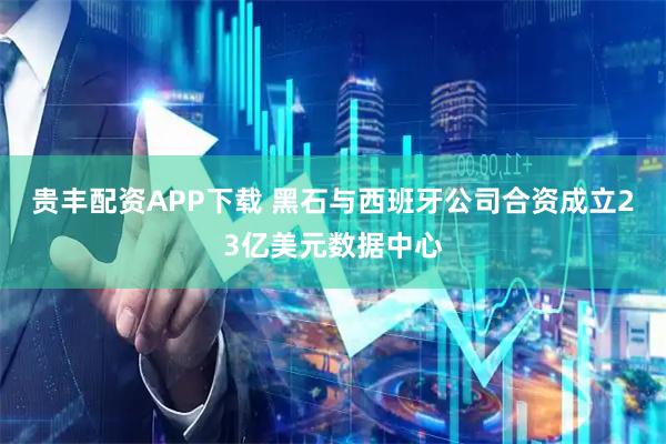 贵丰配资APP下载 黑石与西班牙公司合资成立23亿美元数据中心